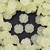 Frosted Transparent Acrylic Beads OACR-P029-19B-03-1