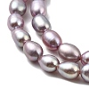 Natural Cultured Freshwater Pearl Beads Strands PEAR-I007-01P-01-4