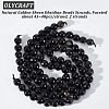 Olycraft 2 Strands Natural Golden Sheen Obsidian Beads Strands G-OC0003-52-4