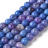 Dyed & Heated Natural Fire Crackle Agate Beads Strands G-P539-B01-03-1