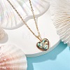 Natural Paua Shell Pendant Necklaces NJEW-JN05141-02-1