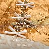 Preciosa® Crystal Hotfix Flatback Stones Y-PRC-HSS16-30010-200-3