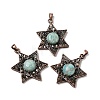 Natural Amazonite Pendants G-A297-06R-18-1