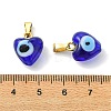 Handmade Lampwork Pendants PALLOY-JF05629-01-3