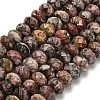 Natural Leopard Skin Jasper Beads Strands G-Z111-A23-3