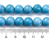 Dyed Natural Magnesite Beads Strands G-P558-A01-01A-5