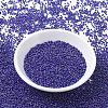 MIYUKI Round Rocailles Beads X-SEED-G007-RR0484-3