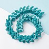 Synthetic Turquoise Beads Strands G-P505-03-4