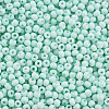 8/0 Opaque Glass Seed Beads SEED-S048-N-008-3