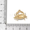 304 Stainless Steel & Natural Shell & Enamel Pendants SA-CBACF51-02G-3