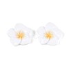 Plumeria Flower Opaque Resin Cabochons CRES-T025-30A-02-1