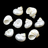 Natural Spiral Shell Beads SSHEL-N034-126-1
