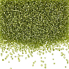 100G Glass Seed Beads SEED-SP0001-11C-1