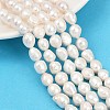 Natural Cultured Freshwater Pearl Beads Strands PEAR-P064-20K-05A-1