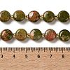 Natural Unakite Beads Strands G-H005-B11-01-5