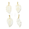 Natural Freshwater Shell Carved Pendants PALLOY-JF05384-1