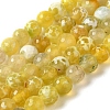 Dyed & Heated Natural Fire Crackle Agate Beads Strands G-P539-B01-18-1