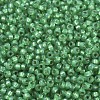 MIYUKI Round Rocailles Beads SEED-JP0008-RR0646-3