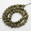 Natural Gemstone Labradorite Faceted Round Bead Strands G-O021-10mm-01-1