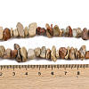 Natural Shoushan Stone Beads Strands G-L647-B01-01-5