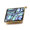 304 Stainless Steel Pave Natural Paua Shell Pendants X-STAS-Z125-01D-G-2