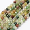 Natural Indian Agate Beads Strands G-K183-03-1