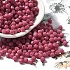 Baking Paint Glass Seed Beads X1-SEED-A032-02A-04-1