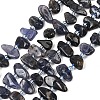 Natural Iolite Beads Strands G-L657-E04-01-2
