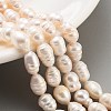 Natural Cultured Freshwater Pearl Beads Strands PEAR-P062-15A-2