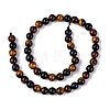 Natural Tiger Eye Beads Strands G-L446-02-8mm-4