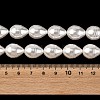 Electroplated Shell Pearl Beads Strands SH-CBA6AE6-01B-4