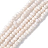 Natural Cultured Freshwater Pearl Beads Strands PEAR-I007-07E-01A-2