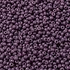 MIYUKI Round Rocailles Beads SEED-JP0009-RR4489-3