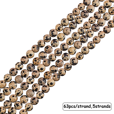 Natural Dalmatian Jasper Stone Bead Strands G-OC0001-56-1