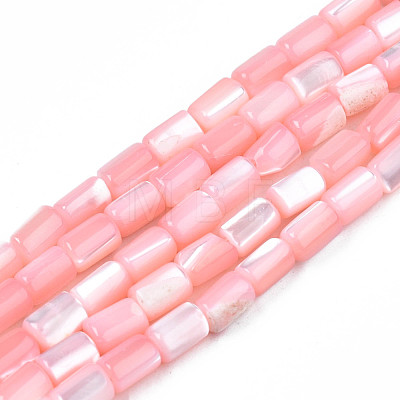 Natural Trochid Shell/Trochus Shell Beads Strands SHEL-N003-26-B05-1