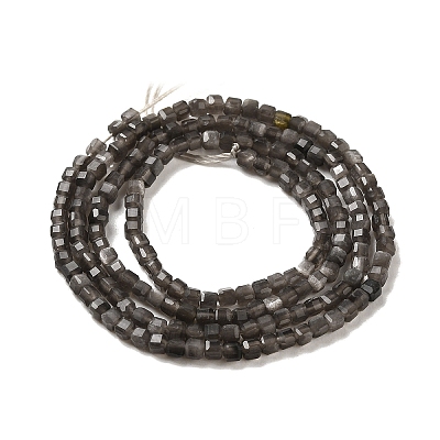 Natural Silver Obsidian Beads Strands G-B074-C10-01-1