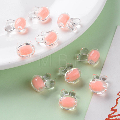 Transparent Acrylic Beads TACR-S152-05A-SS2109-1