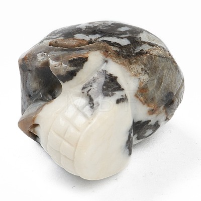 Halloween Natural Zebra Jasper Home Decorations DJEW-K015-17-1