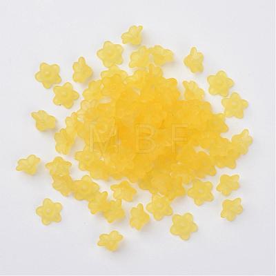 Transparent Acrylic Beads PL554-08-1