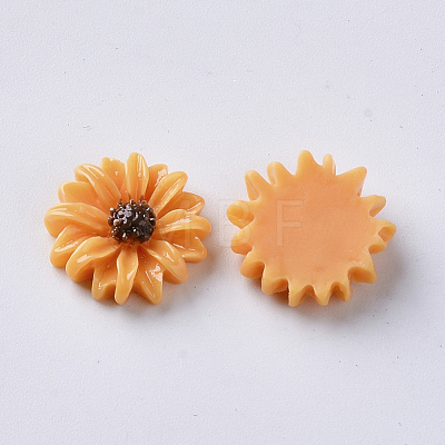 Resin Cabochons CRES-S306-015-1