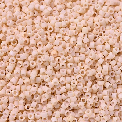 MIYUKI Delica Beads SEED-J020-DB0354-1