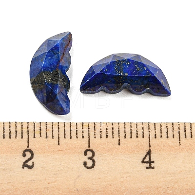 Natural Lapis Lazuli Dyed Butterfly Wing Cabochons G-D078-02G-1