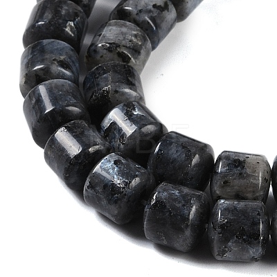 Natural Larvikite Beads Strands G-L604-E07-01-1