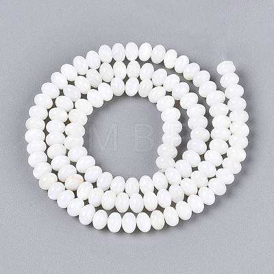 Natural Freshwater Shell Beads Strands SHEL-N038-30-1
