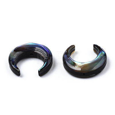Natural Abalone Shell/Paua Shell Beads SSHEL-N034-122B-01-1