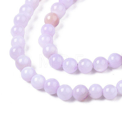Natural Freshwater Shell Beads Strands X-BSHE-T009A-01G-1