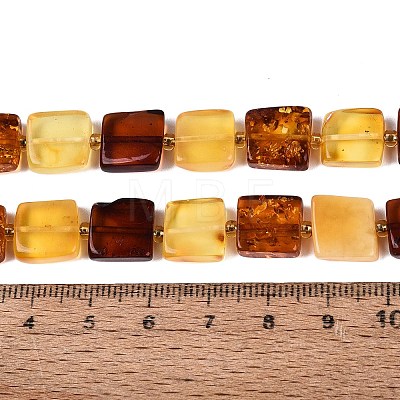 Natural Amber Beads Strands G-N371-15B-01-1