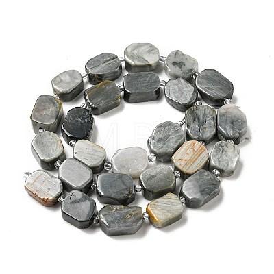 Natural Eagle Eye Stone Beads Strands G-G072-B01-01-1