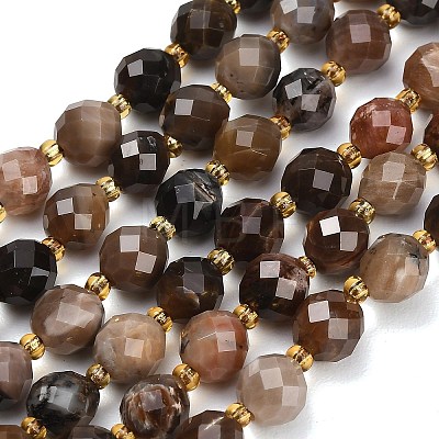 Natural Petrified Wood Beads Strands GG-CBA4A3B-A08-1