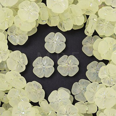 Frosted Transparent Acrylic Beads OACR-P029-19B-03-1